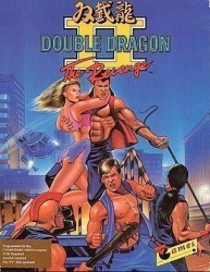 Double Dragon 2 Rom